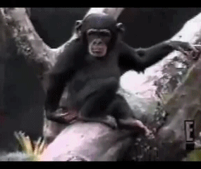 Ой как воняет