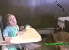 Наши верные и настоящие друзья