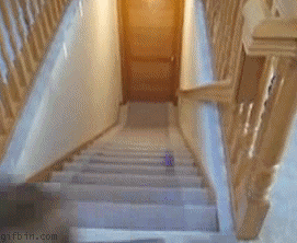 Сейчас я тебя споймаю