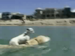 Будущее сборной по плаванию