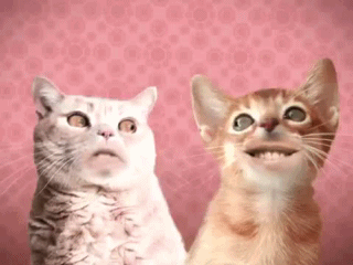 Come on and dance! Come on and Boom! Boom!