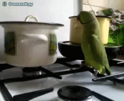 Сим-сим откройся, я жрать хочу!