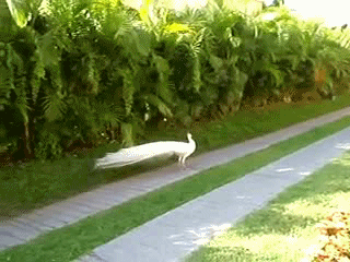  Как прекрасен этот мир, посмотри! Берегите природу 