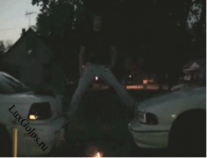 Здравствуй, жопа, Новый год!