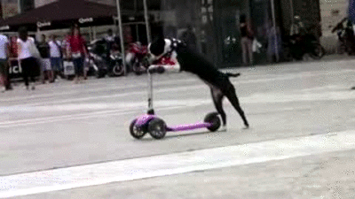 Мастер скейта